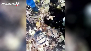 МДКЕШИНГ в Ульяновске. Жетон найден!