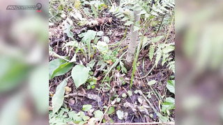 Поиск жетона в Новокузнецке - Сезон 2016