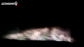 МДКЕШИНГ в Орске. Жетон найден!