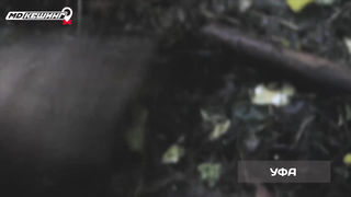 Жетон в Уфе Найден! - МДКешинг 2016