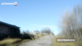 МДКЕШИНГ - Мурманск, Хабаровск, Чебоксары, Саранск, Рязань, Тверь