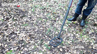 МДКЕШИНГ - Мурманск, Хабаровск, Чебоксары, Саранск, Рязань, Тверь