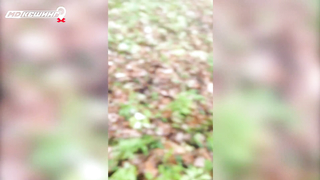 МДКЕШИНГ в Чебоксарах. Жетон найден!