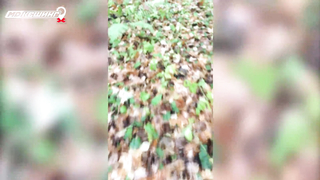 МДКЕШИНГ в Чебоксарах. Жетон найден!