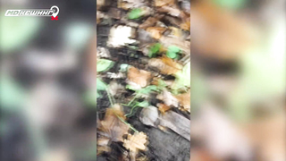 МДКЕШИНГ в Чебоксарах. Жетон найден!