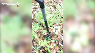 МДКЕШИНГ в Чебоксарах. Жетон найден!