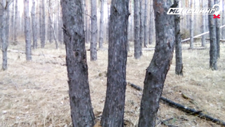 Жетон в Рязани Найден! - МДКешинг 2016