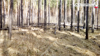 Жетон в Рязани Найден! - МДКешинг 2016