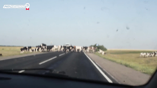 МДКЕШИНГ. Жетон в Воронеже!