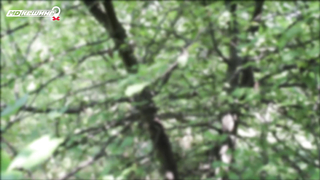 МДКЕШИНГ. Жетон в Воронеже!