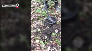 МДКЕШИНГ в Пскове. Жетон найден!