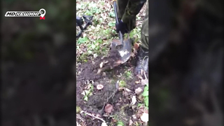 МДКЕШИНГ в Пскове. Жетон найден!