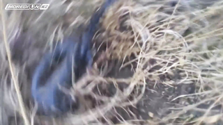 МДКЕШИНГ в Алматы. Казахстан. Жетон найден!