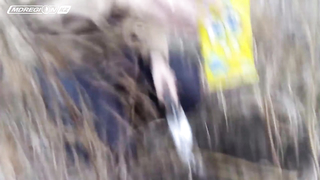 МДКЕШИНГ в Алматы. Казахстан. Жетон найден!