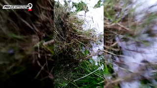 МДКЕШИНГ в Брянске. Жетон найден!