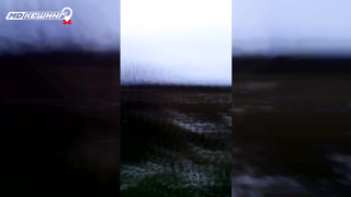 МДКЕШИНГ в Брянске. Жетон найден!