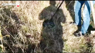 МДКЕШИНГ в Махачкале. Жетон найден!