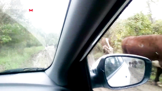 МДКЕШИНГ. Жетон в Краснодаре!