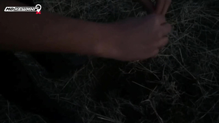 МДКЕШИНГ. Жетон в Шымкенте, Казахстан!