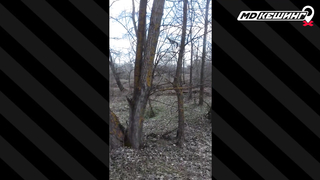 Жетон в Самаре Найден! - МДКешинг 2016