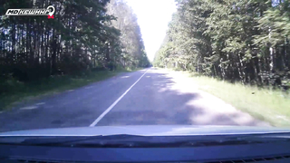 МДКЕШИНГ. Жетон в Тамбове!