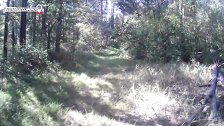 МДКЕШИНГ. Жетон в Тамбове!