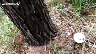 МДКЕШИНГ в Тамбове. Жетон найден!