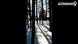 Жетон в Кирове Найден! - Зимний сезон МДКешинга 2017