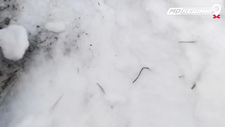 Жетон в Кирове Найден! - Зимний сезон МДКешинга 2017