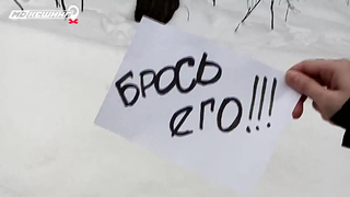 МДКЕШИНГ в Липецке - Зимний сезон 2017