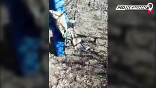 Жетон в Новороссийске Найден! - Зимний сезон МДКешинга 2017