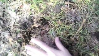 МДКЕШИНГ в Ростове-на-Дону - Зимний сезон 2017