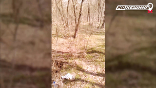 Жетон в Ростове-на-Дону Найден! - Зимний сезон МДКешинга 2017