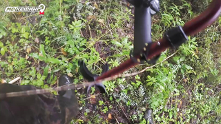 МДКЕШИНГ в Барнауле. Жетон найден!