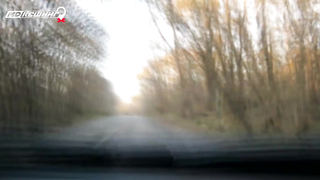 МДКЕШИНГ в Ставрополе - Зимний сезон 2017