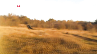 МДКЕШИНГ в Ставрополе - Зимний сезон 2017