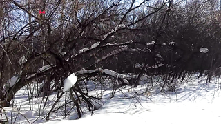 МДКЕШИНГ в Оренбурге - Зимний сезон 2017