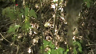 Поиск жетона в Орске! - Зимний сезон МДКешинга 2017