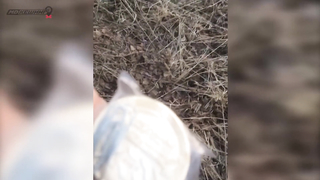 МДКЕШИНГ в Ногинске - Зимний сезон 2017