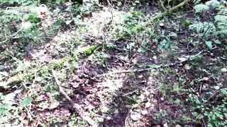 МДКЕШИНГ в Ленинградской области. Жетон найден! №2