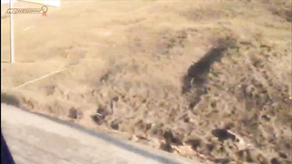 МДКЕШИНГ в Томске - Зимний сезон 2017