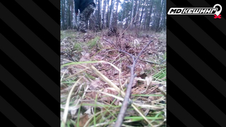 Жетон в Красноярске Найден! - Зимний сезон МДКешинга 2017