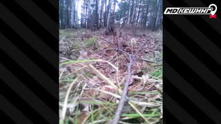 Жетон в Красноярске Найден! - Зимний сезон МДКешинга 2017