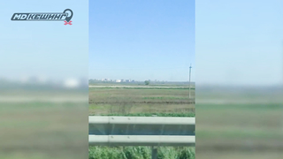 МДКЕШИНГ в Краснодаре - Зимний сезон 2017