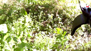 Жетон в Краснодаре Найден! - Зимний сезон МДКешинга 2017