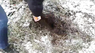 МДКЕШИНГ в Перми - Зимний сезон 2017