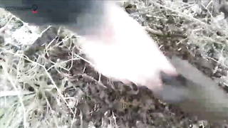 МДКЕШИНГ в Перми - Зимний сезон 2017