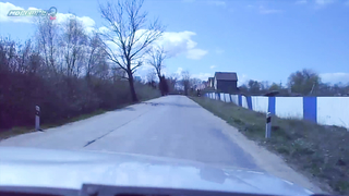 МДКЕШИНГ в Калининграде - Летний сезон 2017