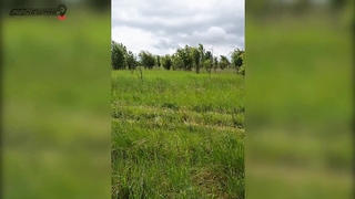 Поиск жетона в Калининграде! - Летний сезон 2017