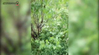 Поиск жетона в Калининграде! - Летний сезон 2017